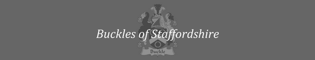 Buckles Of Staffordshire